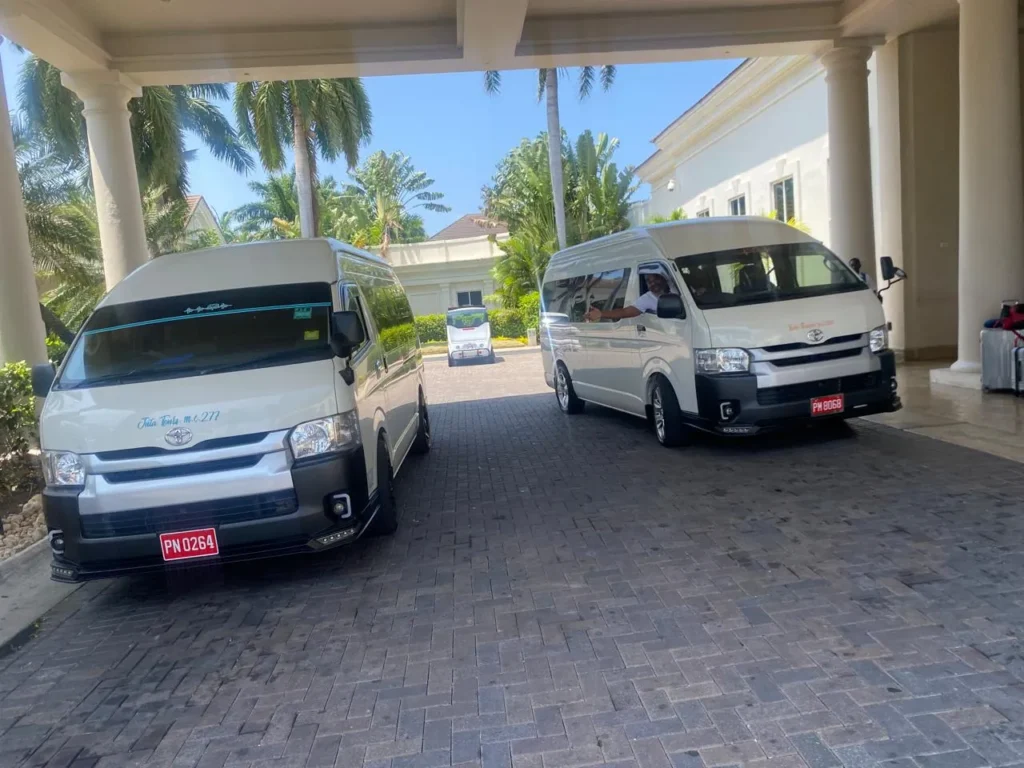 TedTours vans waiting at a palm-lined resort entrance
