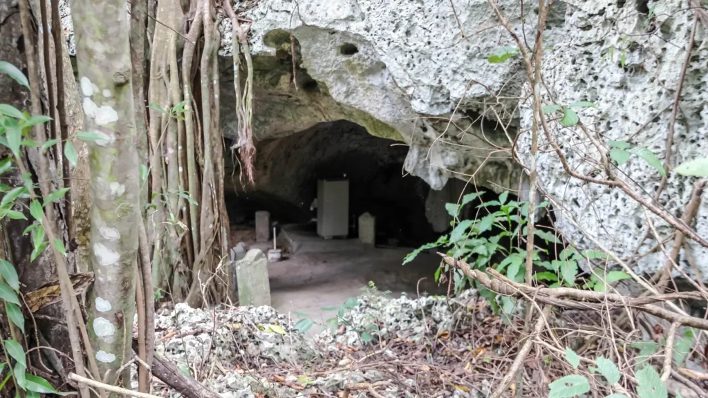 Cave entrance surrounded by roots and vegetation at Green Grotto