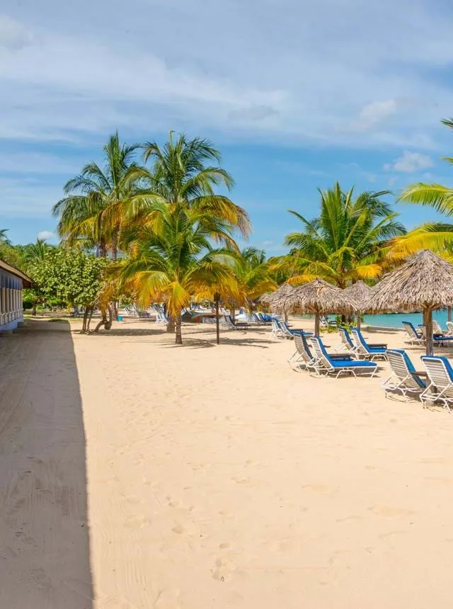 Sandy beach and palms at Jamaica Inn