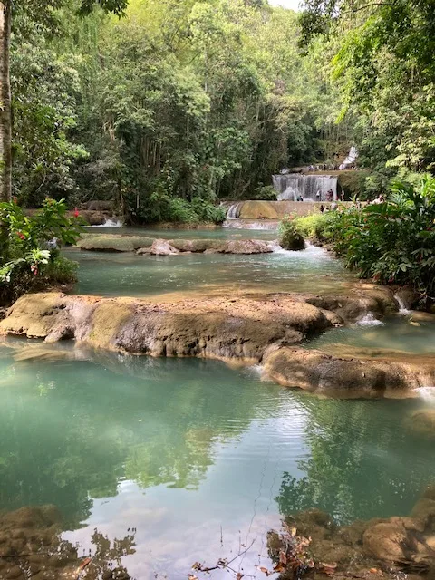 Cascades and natural pool surrounded by trees at YS Falls