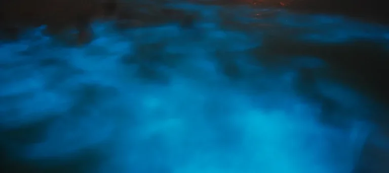 Blue bioluminescent water during a Luminous Lagoon boat experience in Falmouth, Jamaica