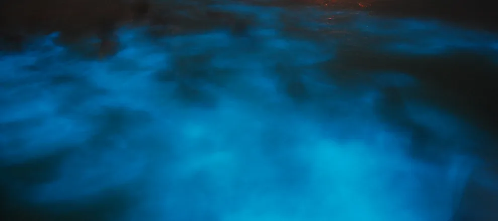 Blue bioluminescent water during a Luminous Lagoon boat experience in Falmouth, Jamaica